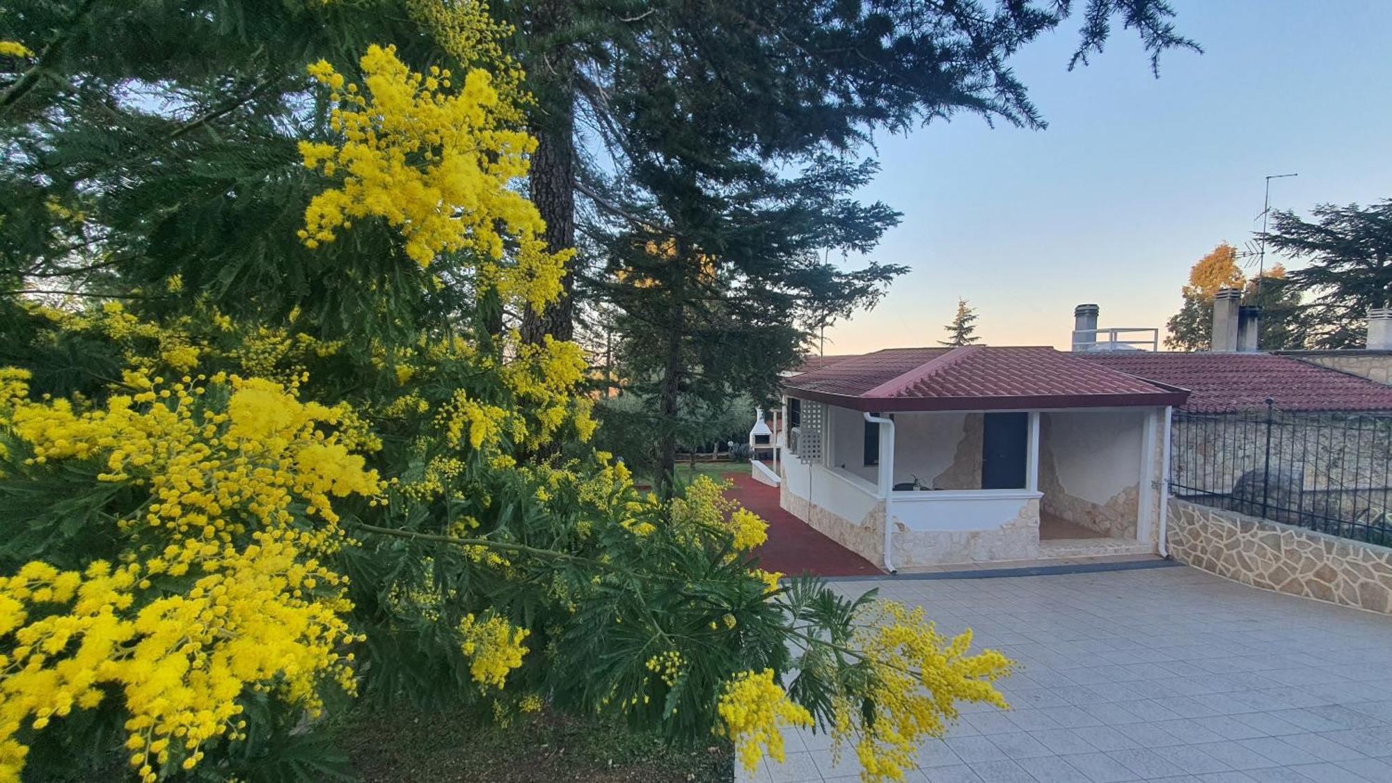 Mercadante - Luxury Holiday House Касано деле Мурдже Екстериор снимка