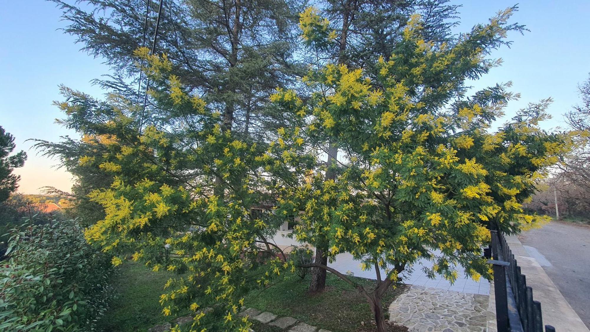 Mercadante - Luxury Holiday House Касано деле Мурдже Екстериор снимка